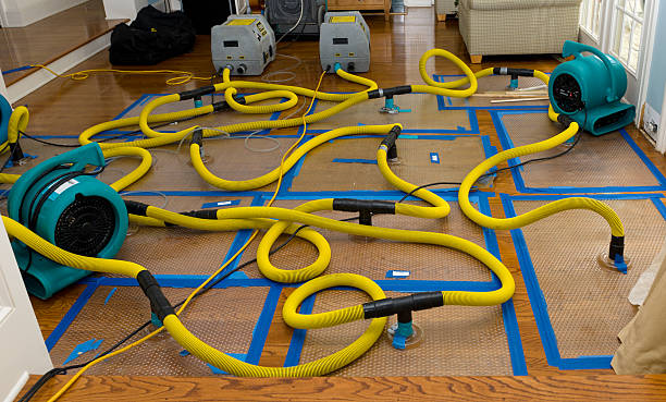 Professional Burst Pipe Water Damage technician working in Holt, MO